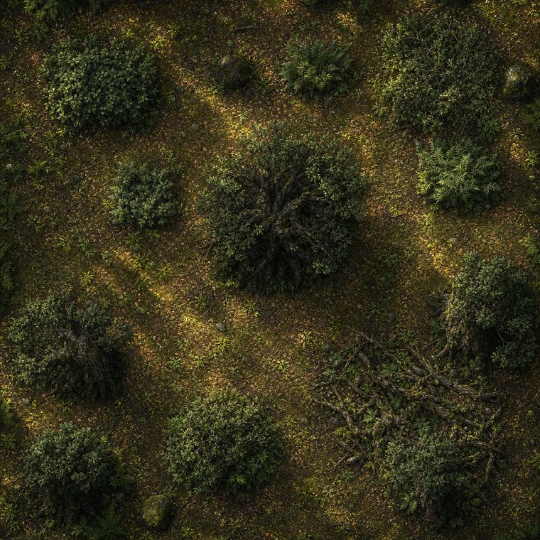 Battle map of a dense forest grove seen from above: mossy
                  ground, scattered boulders and low twisted trees.
